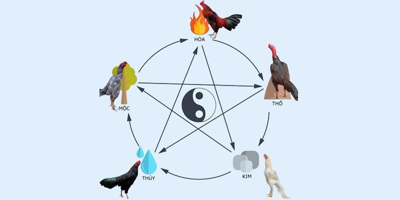 {0} Màu mạng đá gà đã và đang được nhiều cao thủ áp dụng thành công.